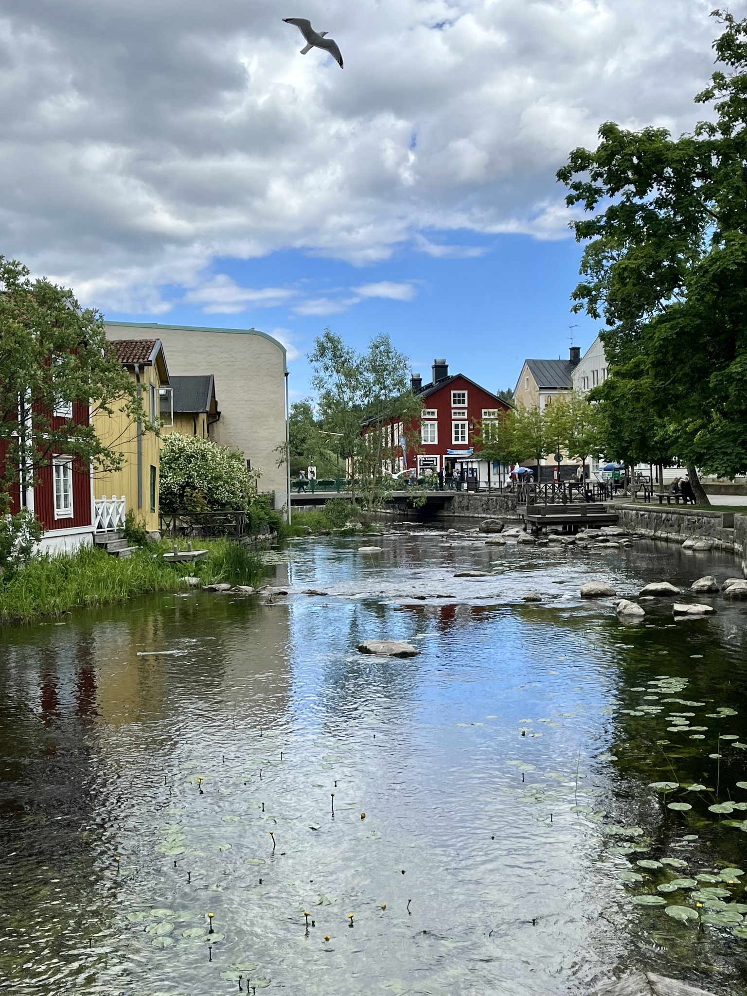 Ingen fotobeskrivning tillgänglig.