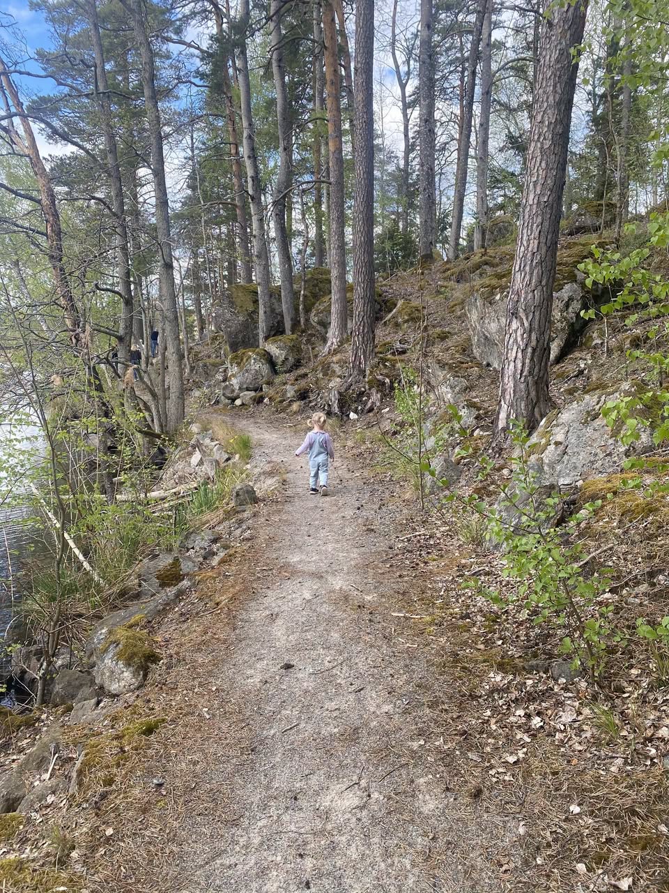 Fållöknastiftelsen