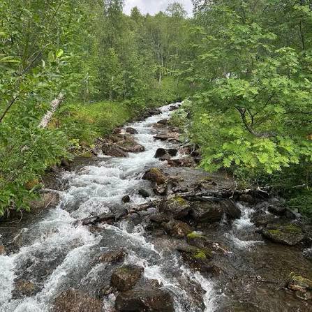 Kan vara en bild av natur och vattenfall