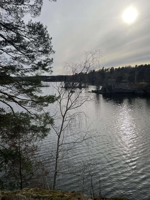 Kan vara en bild av skymning och sjö