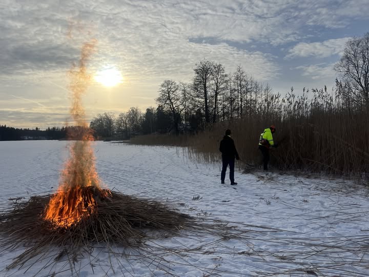 Kan vara en bild av eld, gräs och Arktis